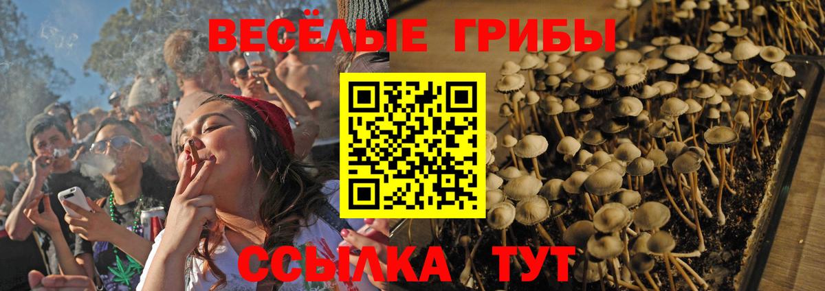 Галлюциногенные грибы Cubensis  Вход с VPN  Избербаш  Галлюциногенные грибы Psilocybine cubensis 
